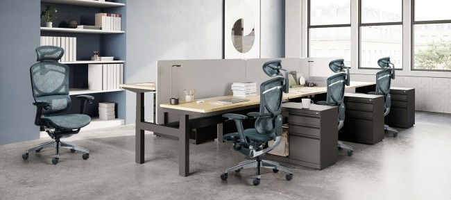 La oficina ergonómica del eslabón giratorio de GT ISEE Mesh Chair Home Office Use preside 0