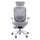Grey Frame Ergonomic Office Chair Large Tilting Angle Multi Adjustment