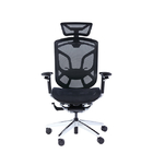 Ergo Mesh Adjustable Office Chair Lumbar Manager Mid Back Ergonomic
